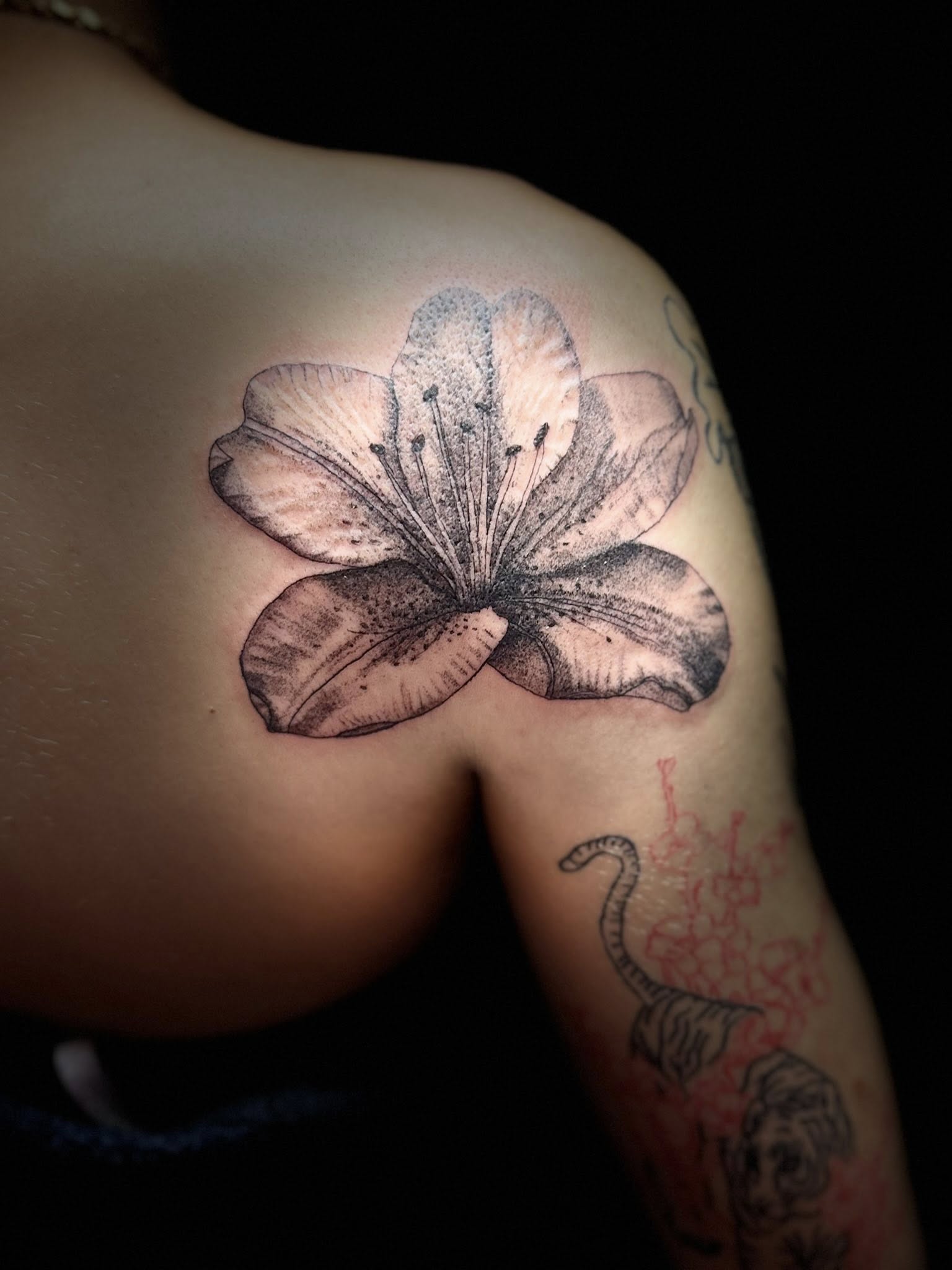 Tattoo by Modern Ink Erie